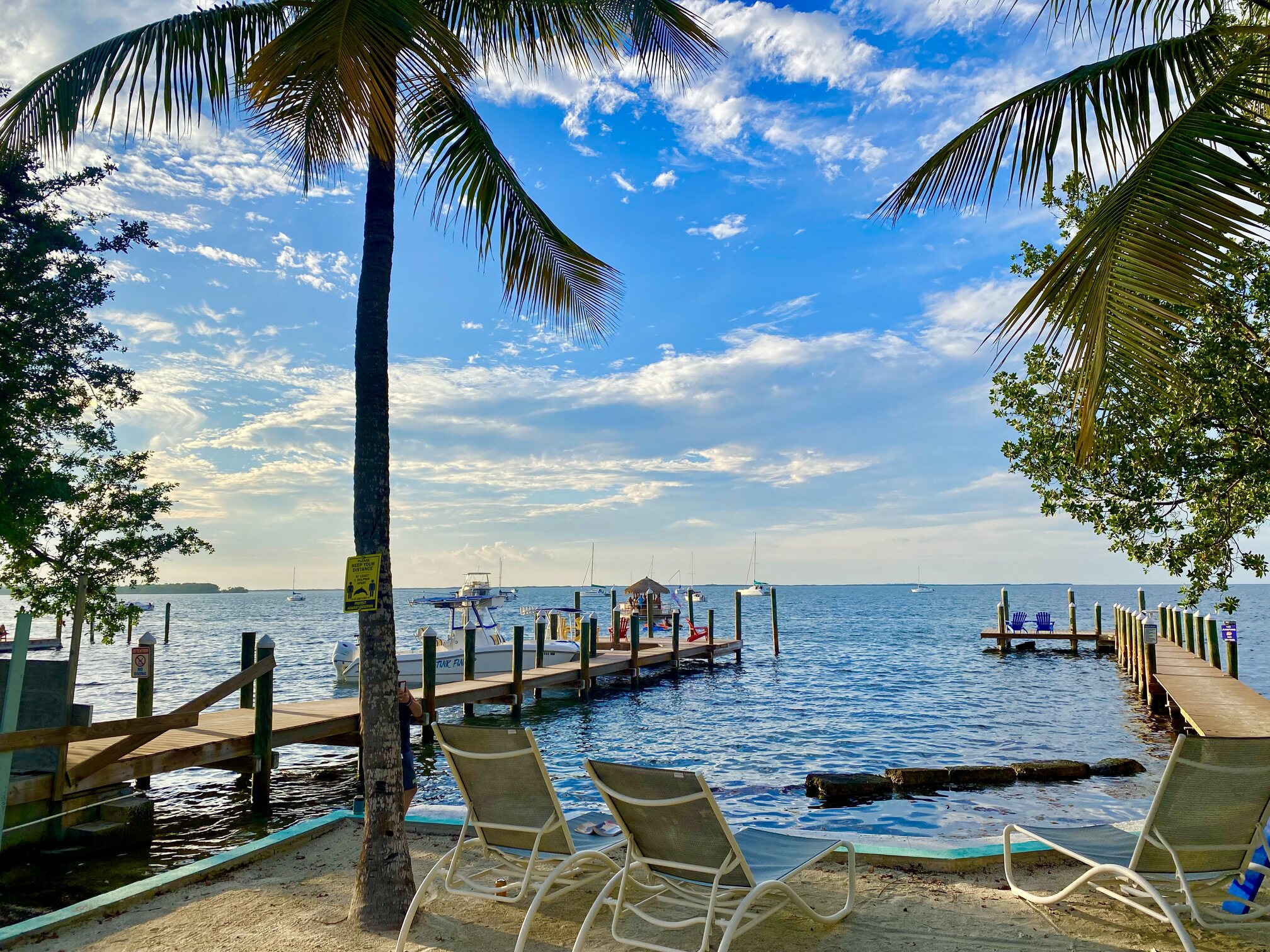 Palm trees, docks, and calm water at The Pelican.