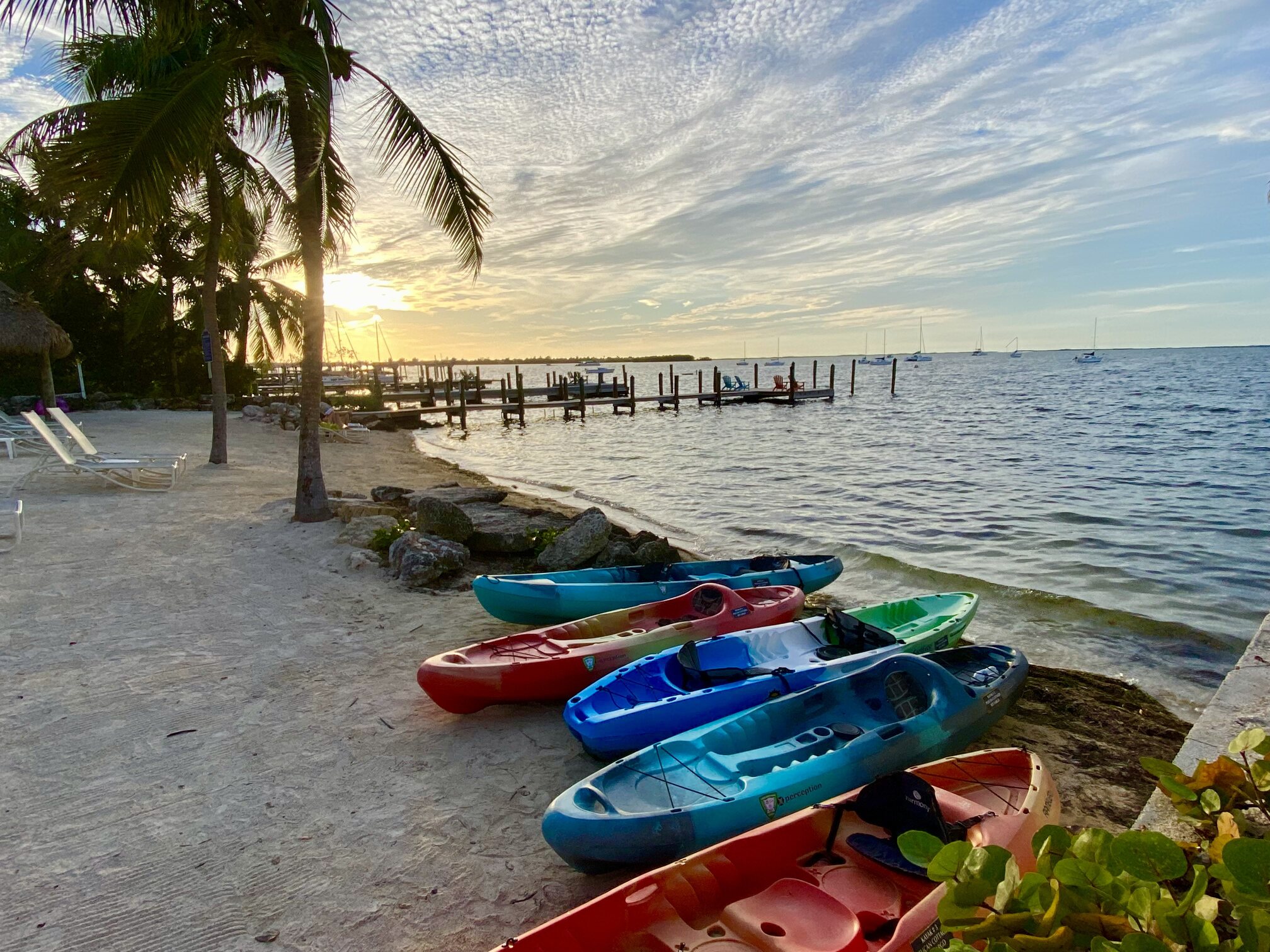 Colorful kayaks lined up along the sandy shore.