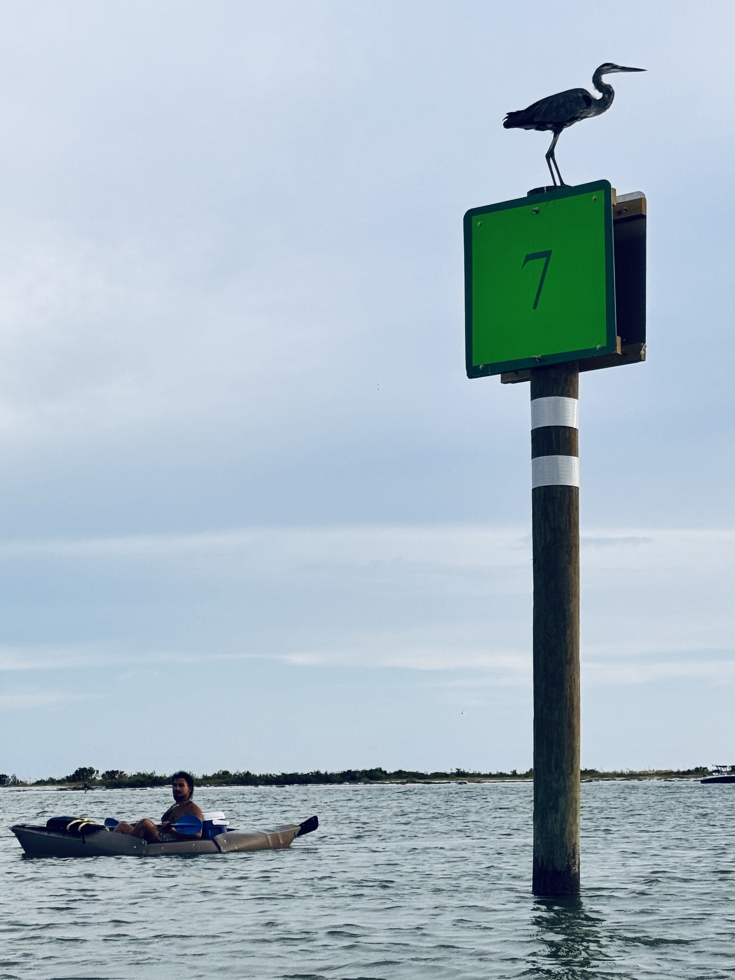 Bird perched on a channel marker