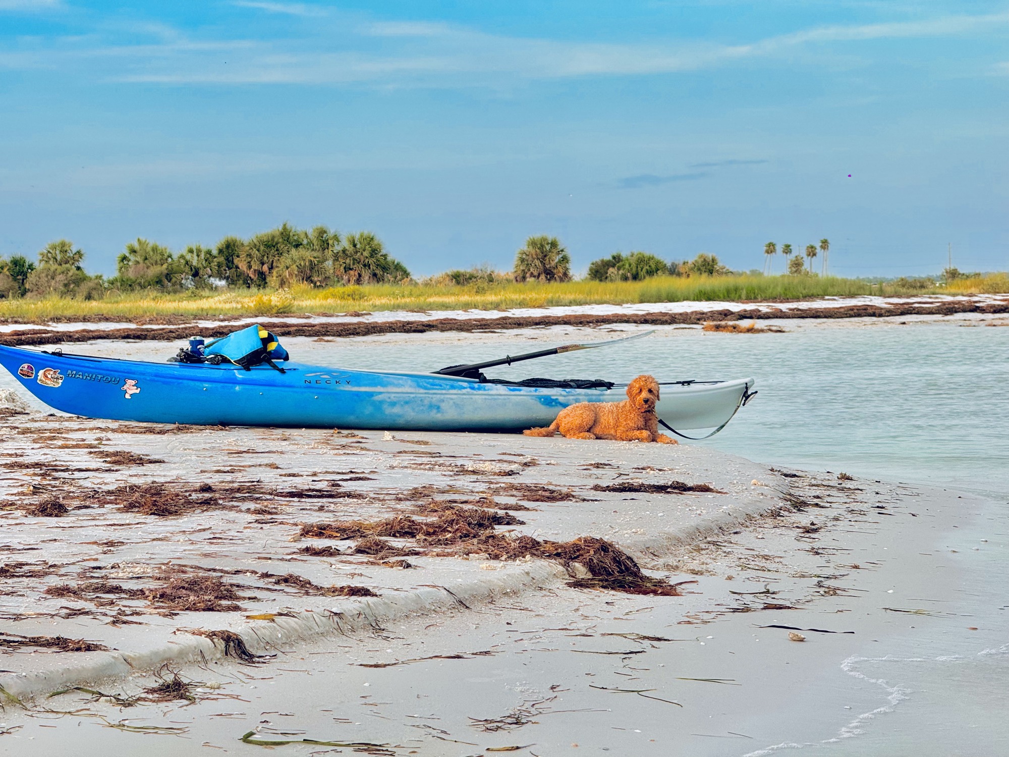 Kayaks and Buddyboy on the beach