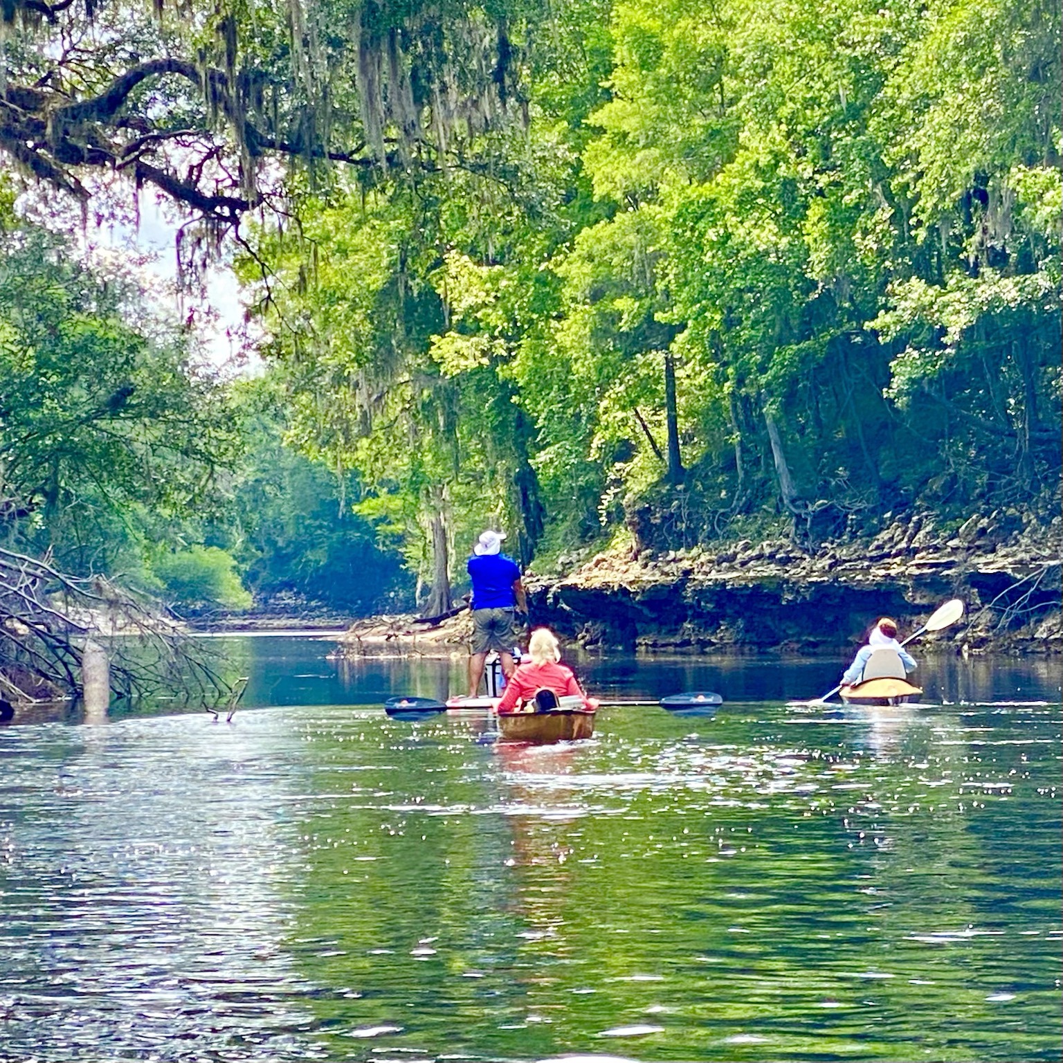Paddlers following the quiet green corridor downstream.