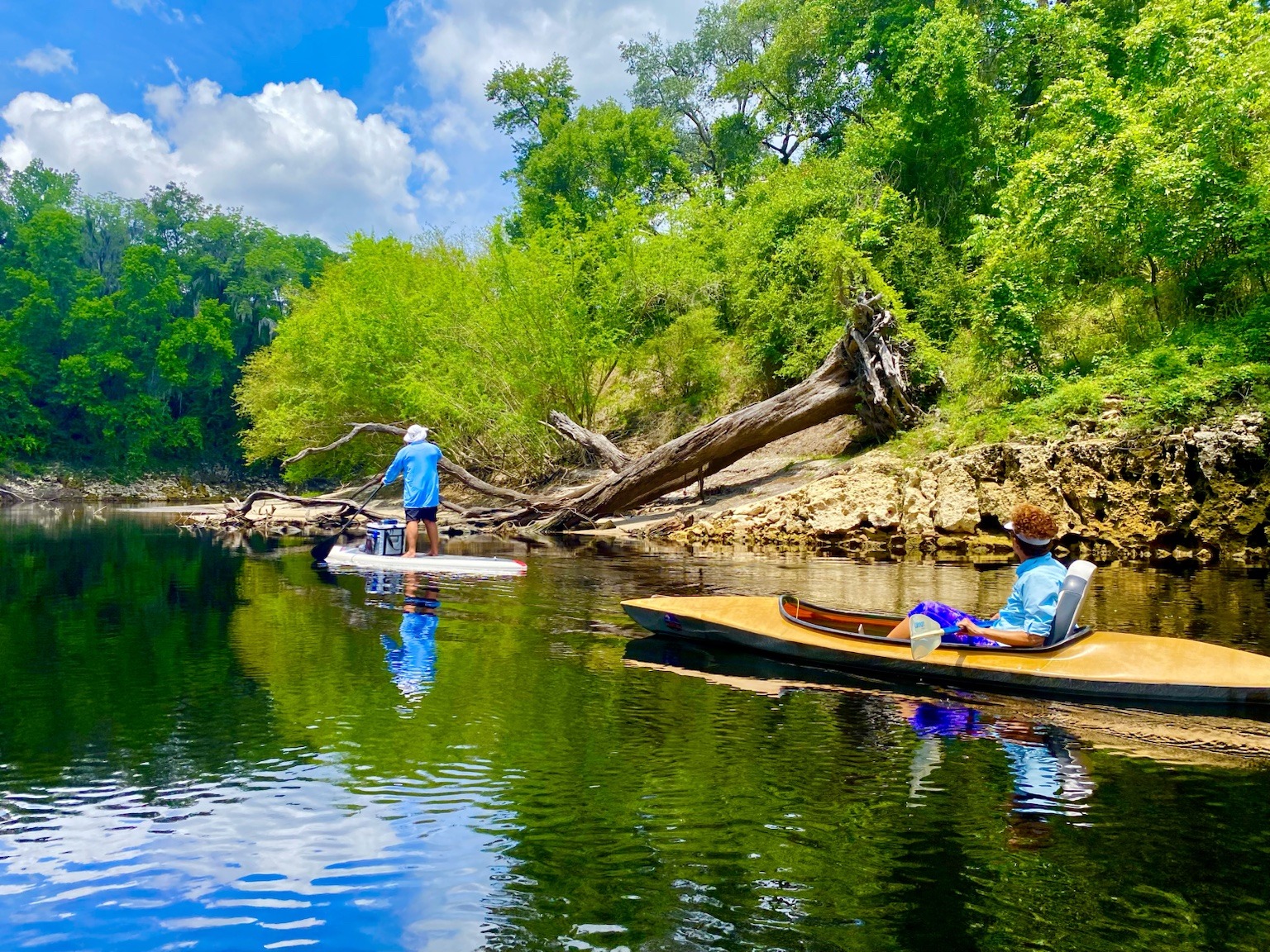 Boats gathered near a fallen tree and a rocky bend in the river.