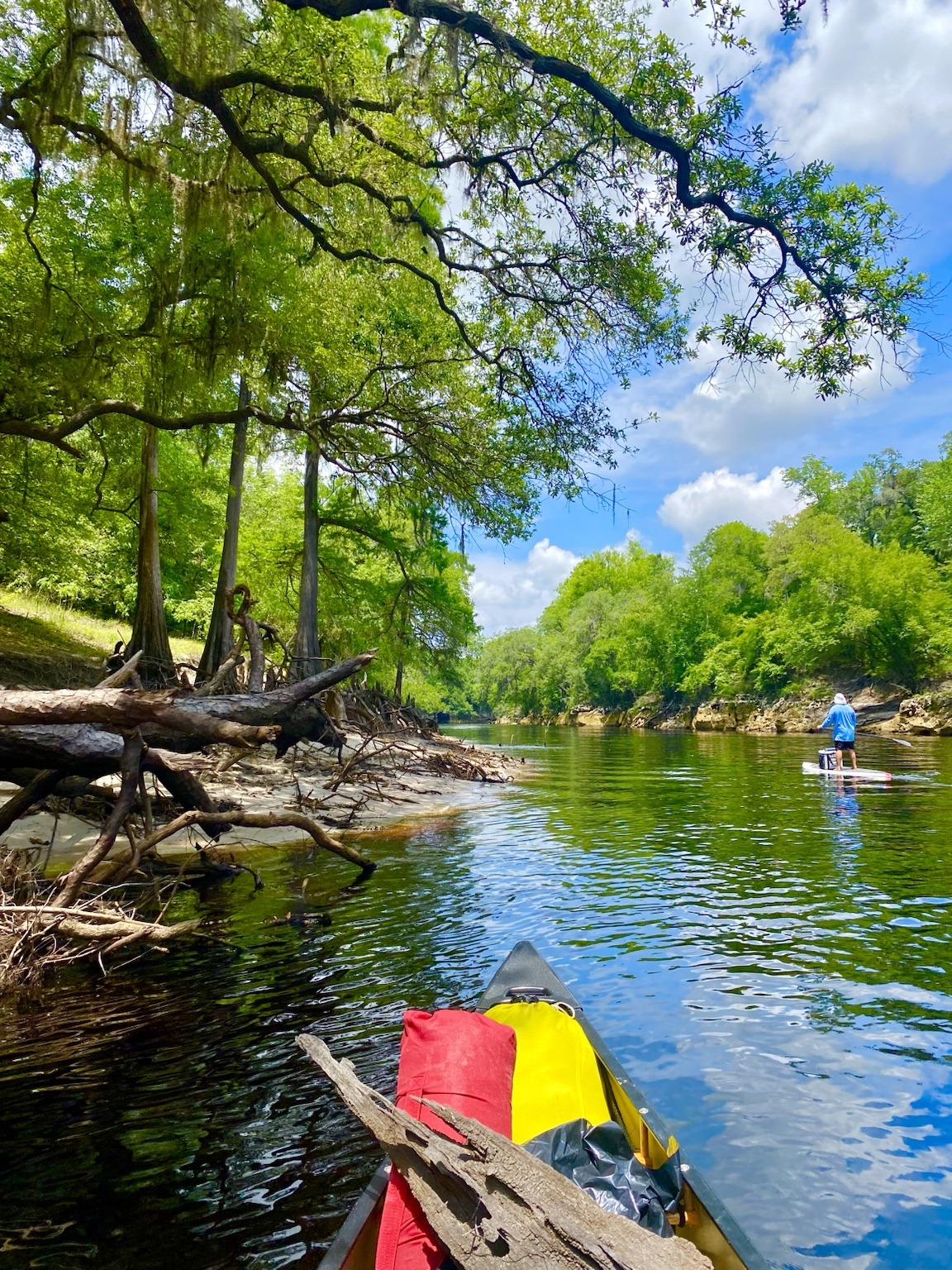 A shaded cockpit view beneath spreading riverside trees.