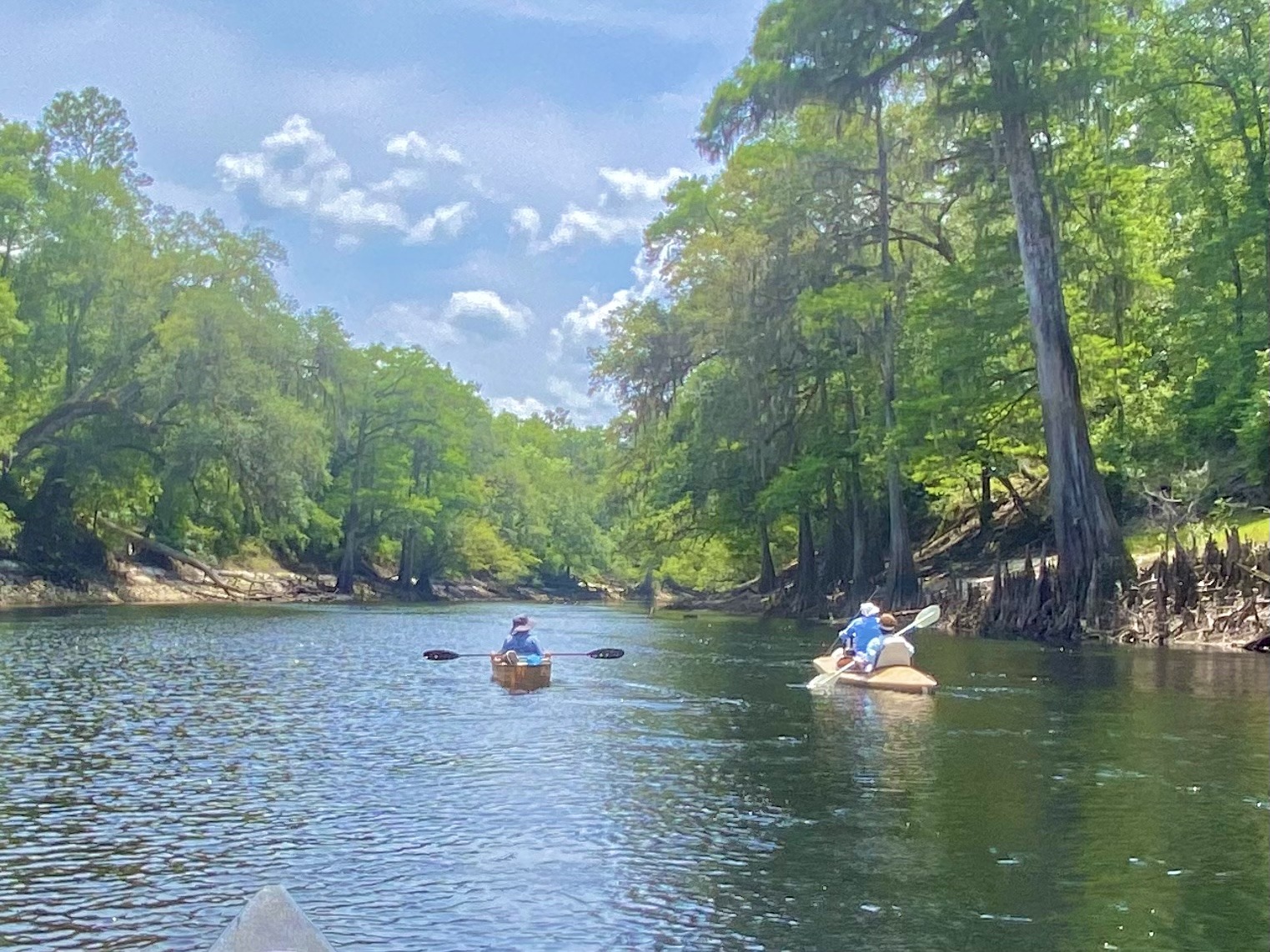 Paddlers spread across a wide, peaceful stretch of the Suwannee.