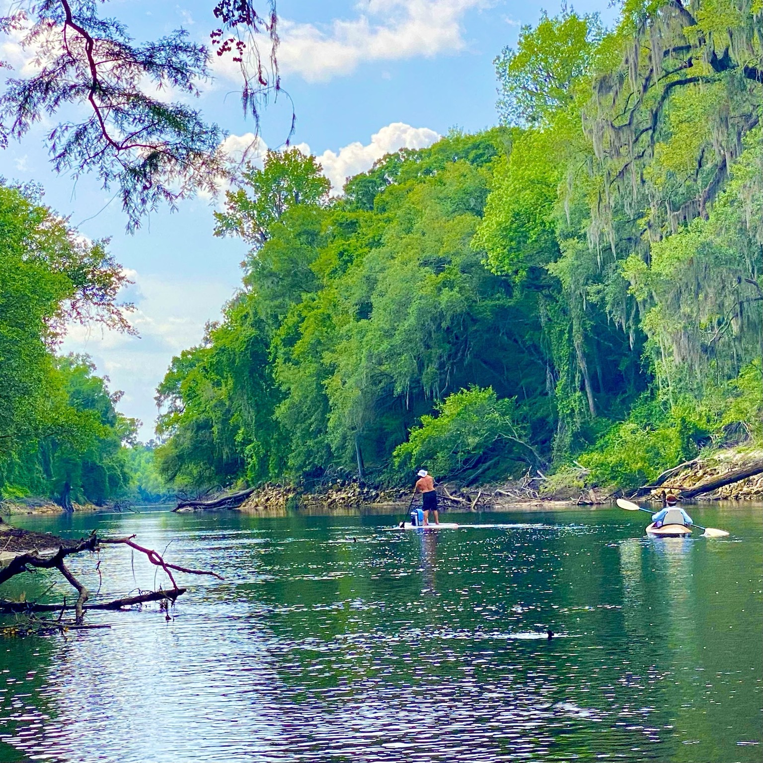 Paddlers disappearing into a lush green corridor farther downstream.