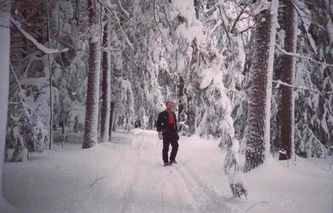 Standing in my driveway, waiting for the snowplow guy! Won't be going to work today!
